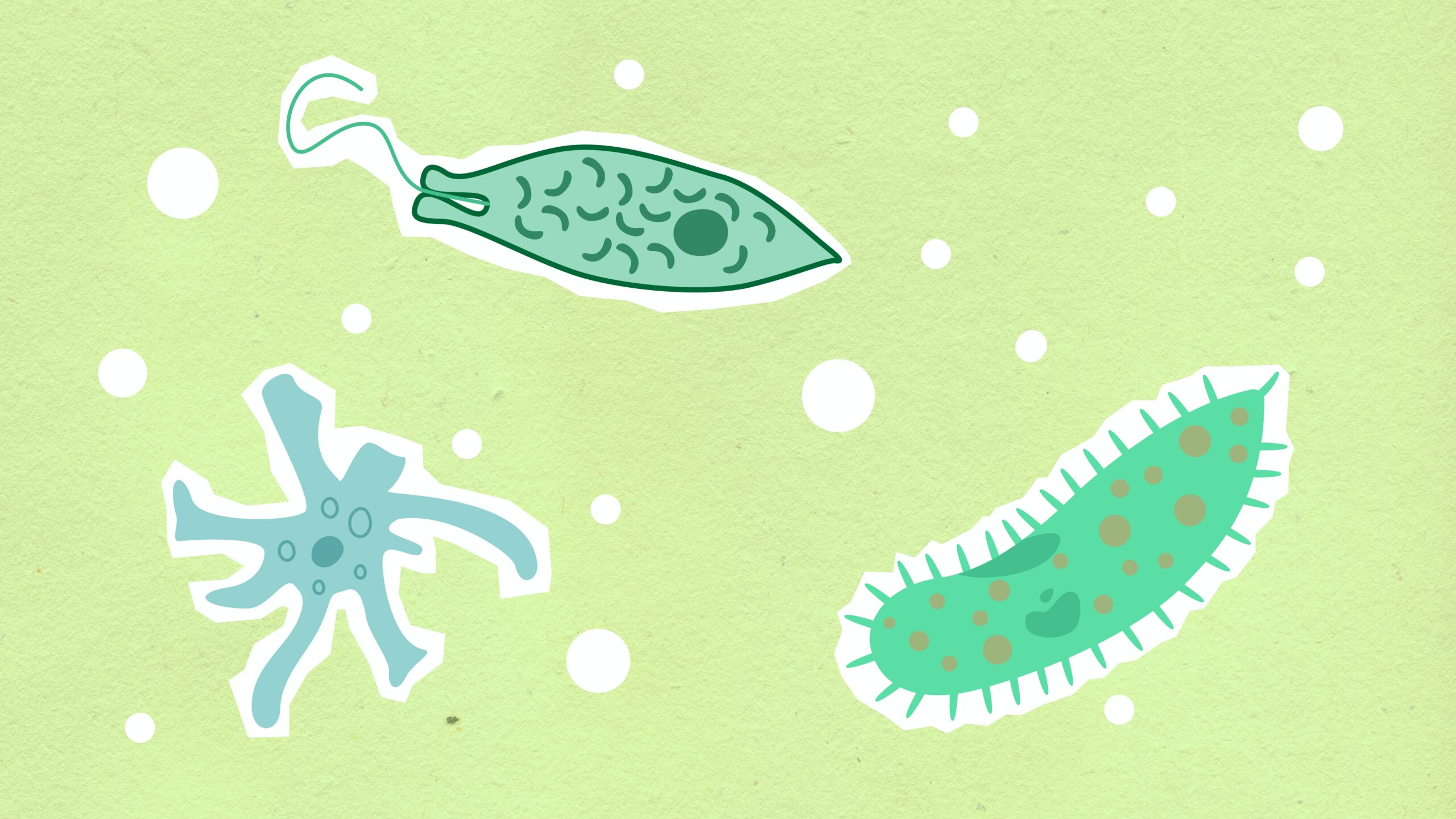 Microrganismos patogênicos: o que são e como classificá-los?